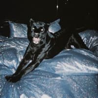 Sebastian Isaza Arias