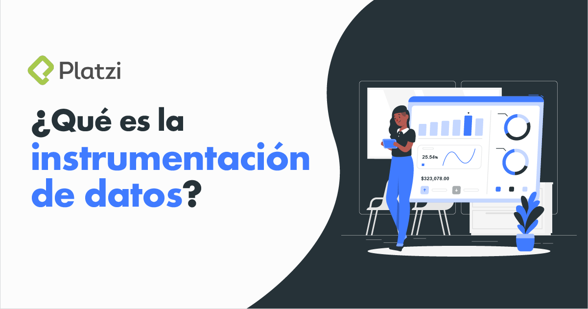 ¿Qué es la instrumentación de datos?