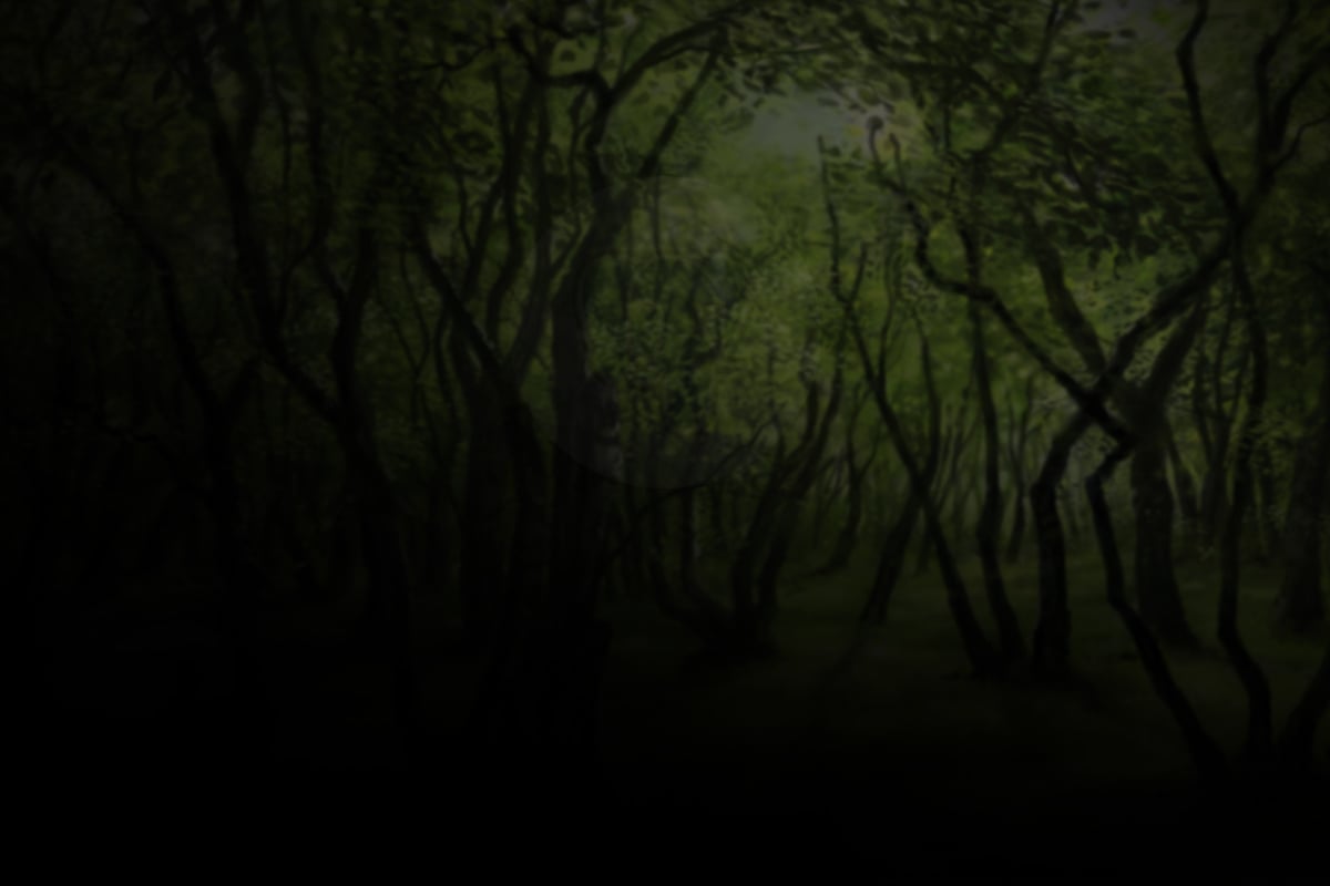 3 evergreen SEO tips you should know