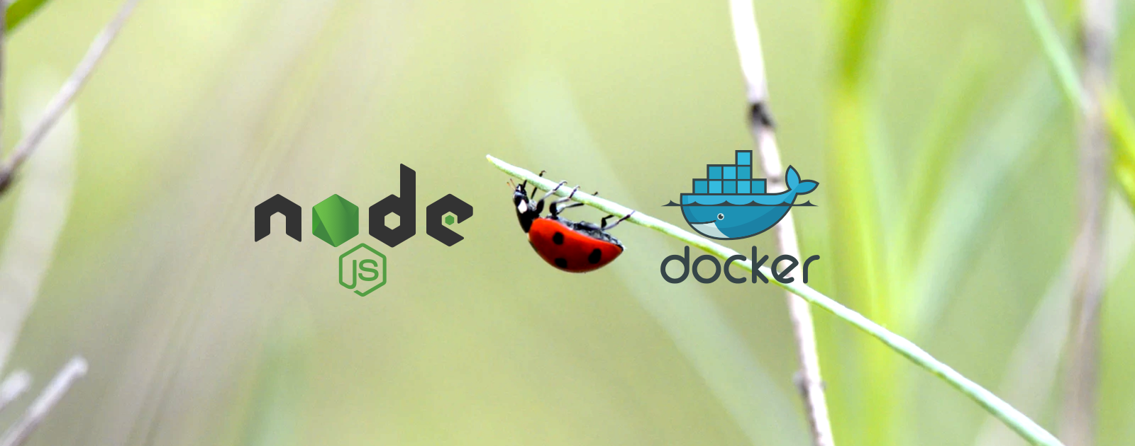 Cómo hacer Debugging de una App Node.js en Docker