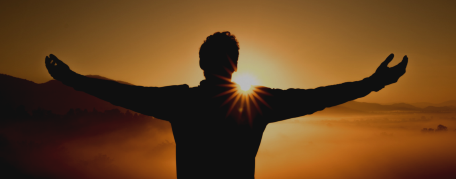 De cero al salario de tus sueños con C# y .NET