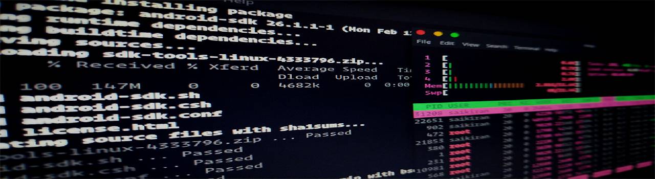 Cómo instalar las terminales zsh y oh-my-zsh en Windows 10