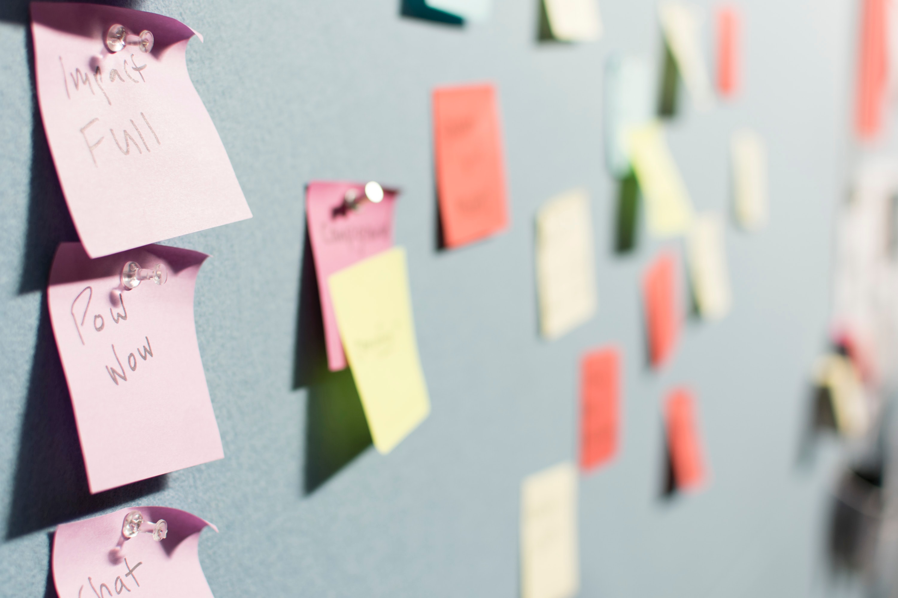 Mentoría Expert: mejora la cultura organizacional en tu empresa