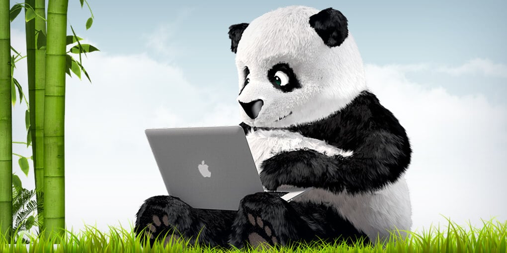 Mejora el rendimiento de tu sitio web con Webpack y TinyPNG