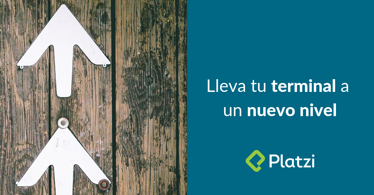 Lleva tu terminal al siguiente nivel