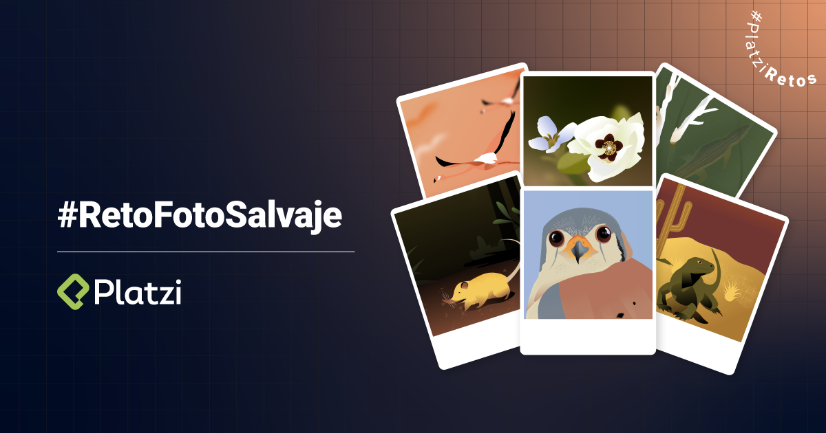 Inscríbete al #RetoFotoSalvaje y domina la fotografía de conservación