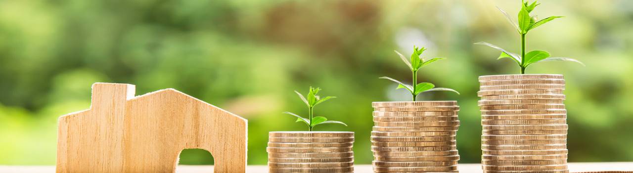 Precificação para startups