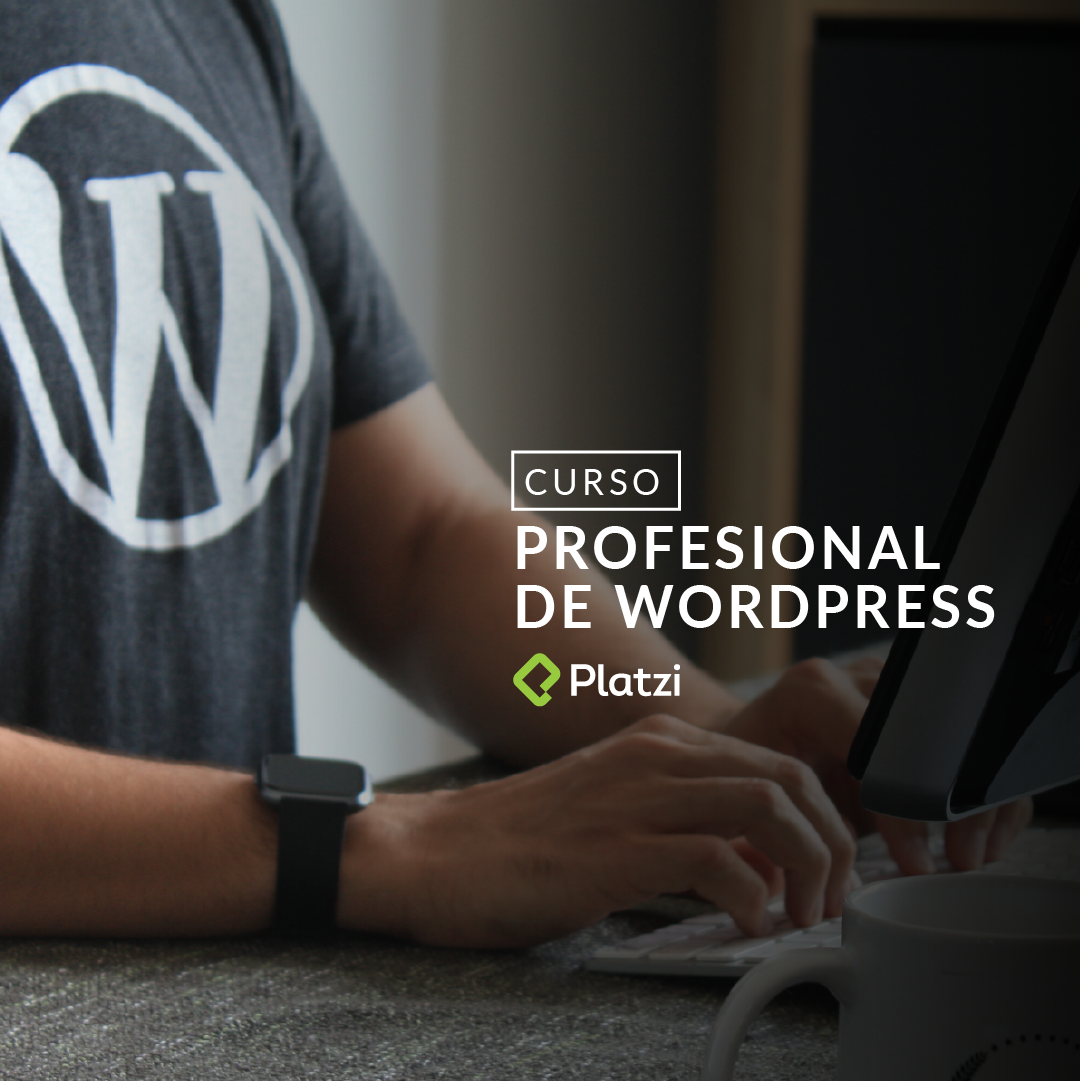 Curso Profesional de WordPress