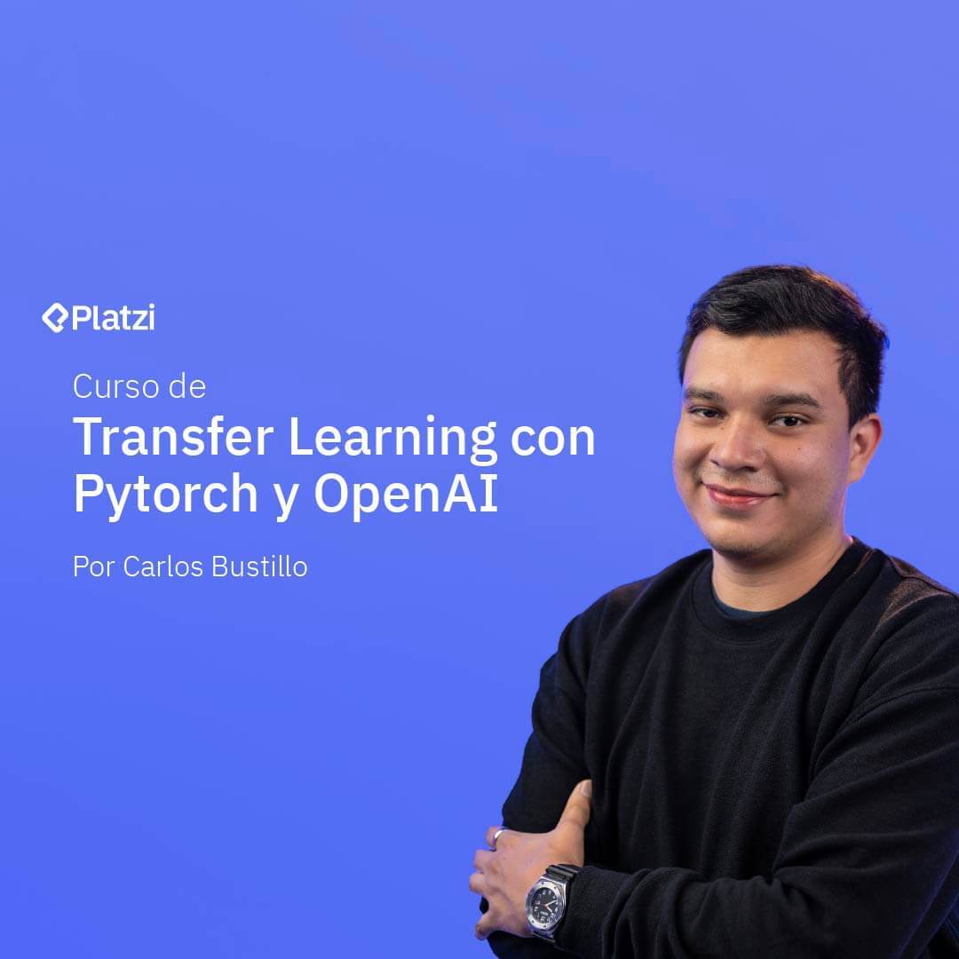 Curso de transfer learning con pytorch y openai