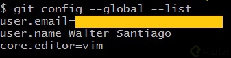1 git config global list.jpg