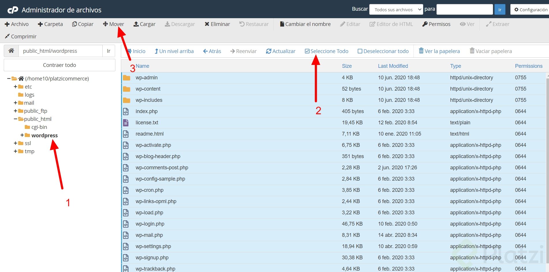 10-cPanel.png