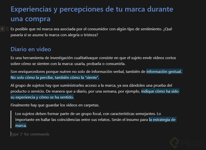 11 Diario en video.PNG