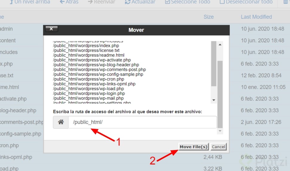 11-cPanel.png