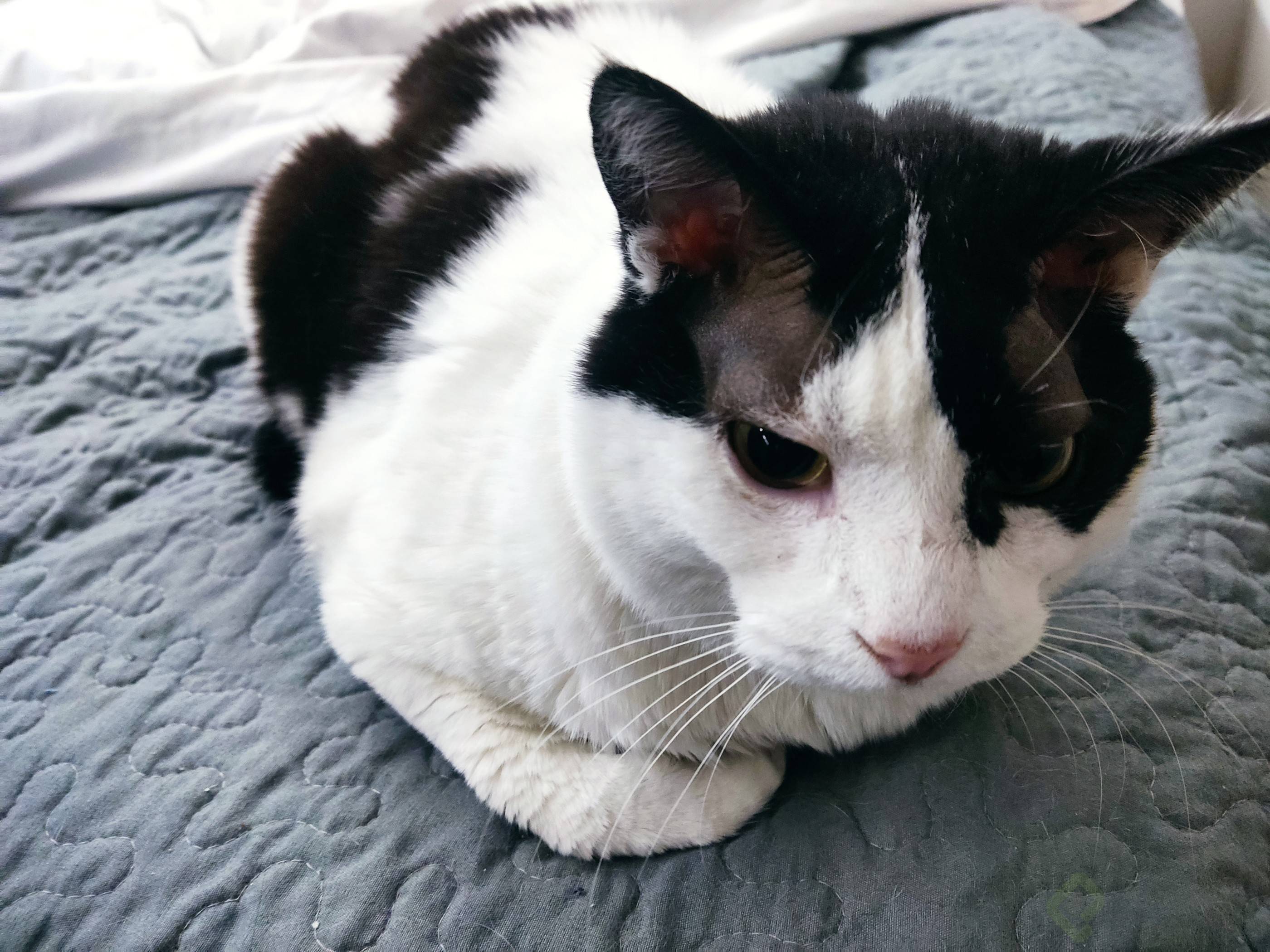 1652846990541 (1).jpg