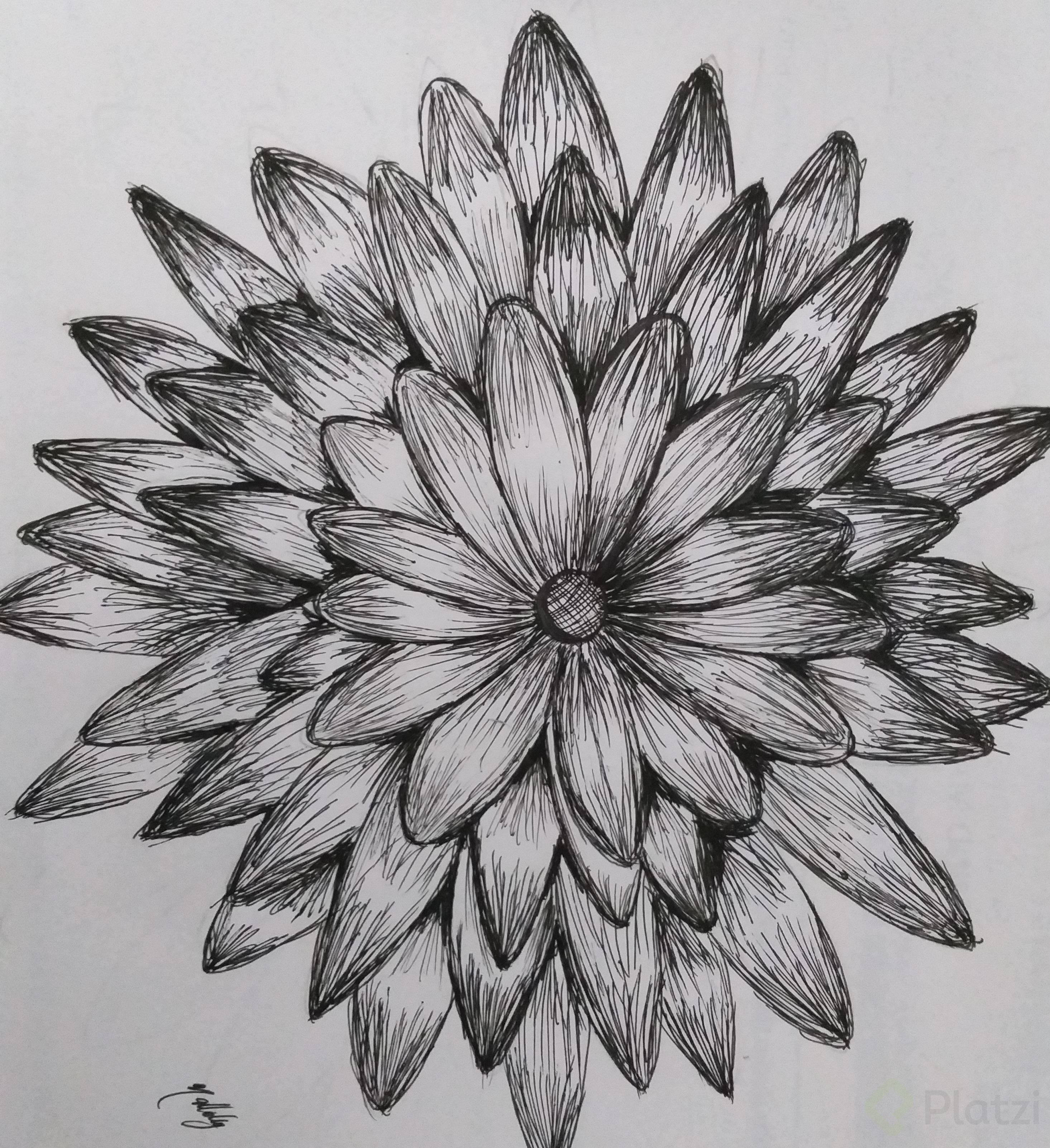 20190609_094426.jpg