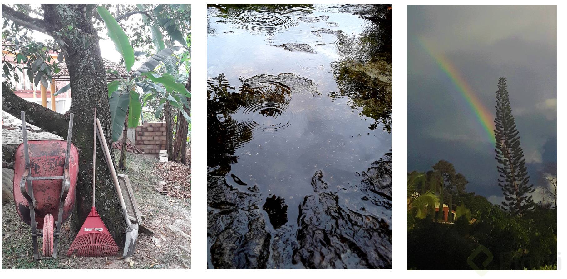 20200901 3 Fotografias Género Paisajismo.png