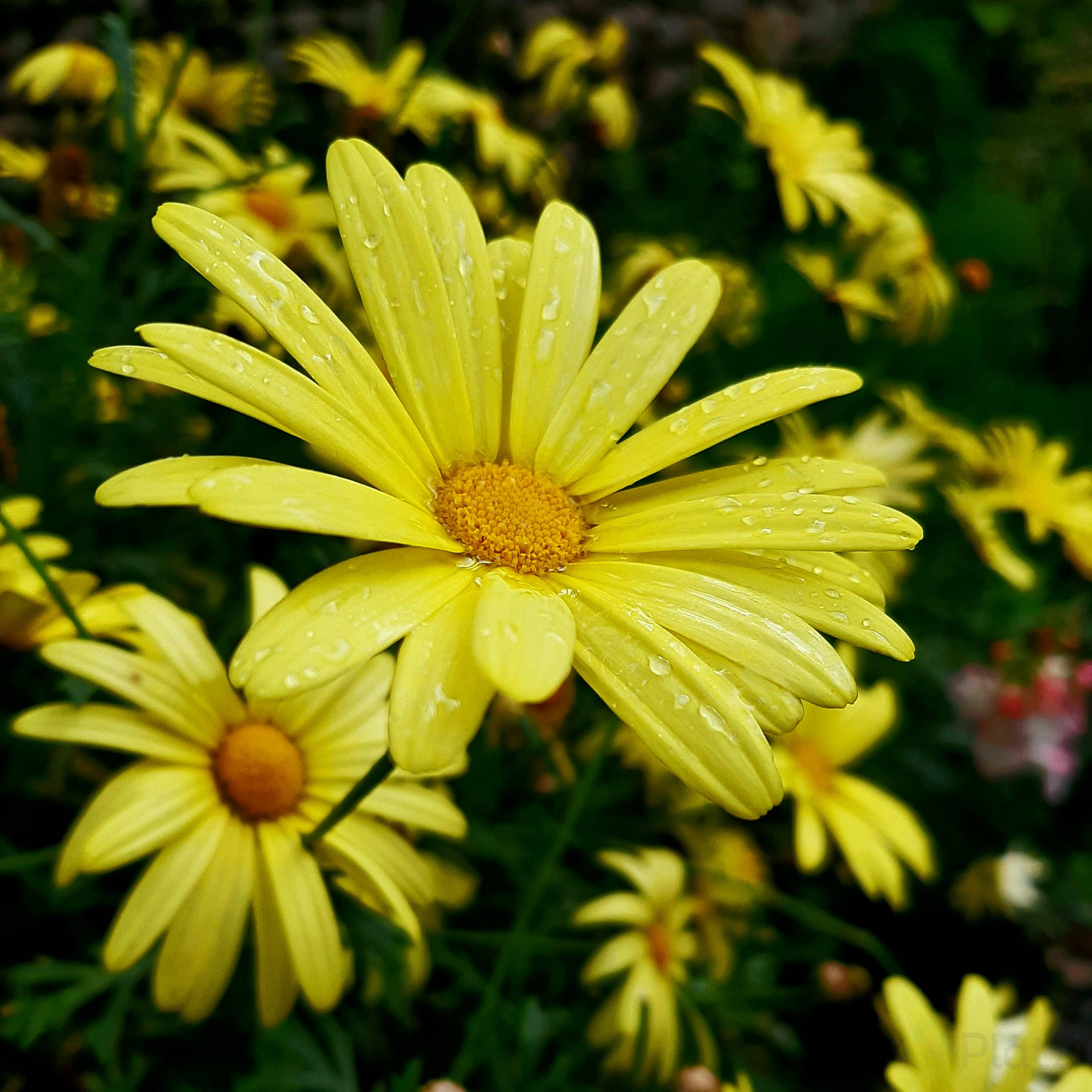20220130_163930.jpg