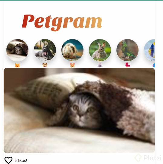 2023-01-03 12_06_16-Petgram.png
