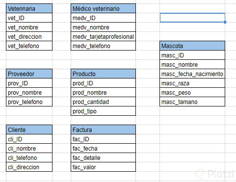 4-Asignacion atributos.JPG