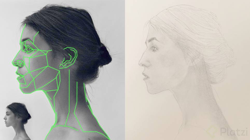 9- Planos de la cabeza.png