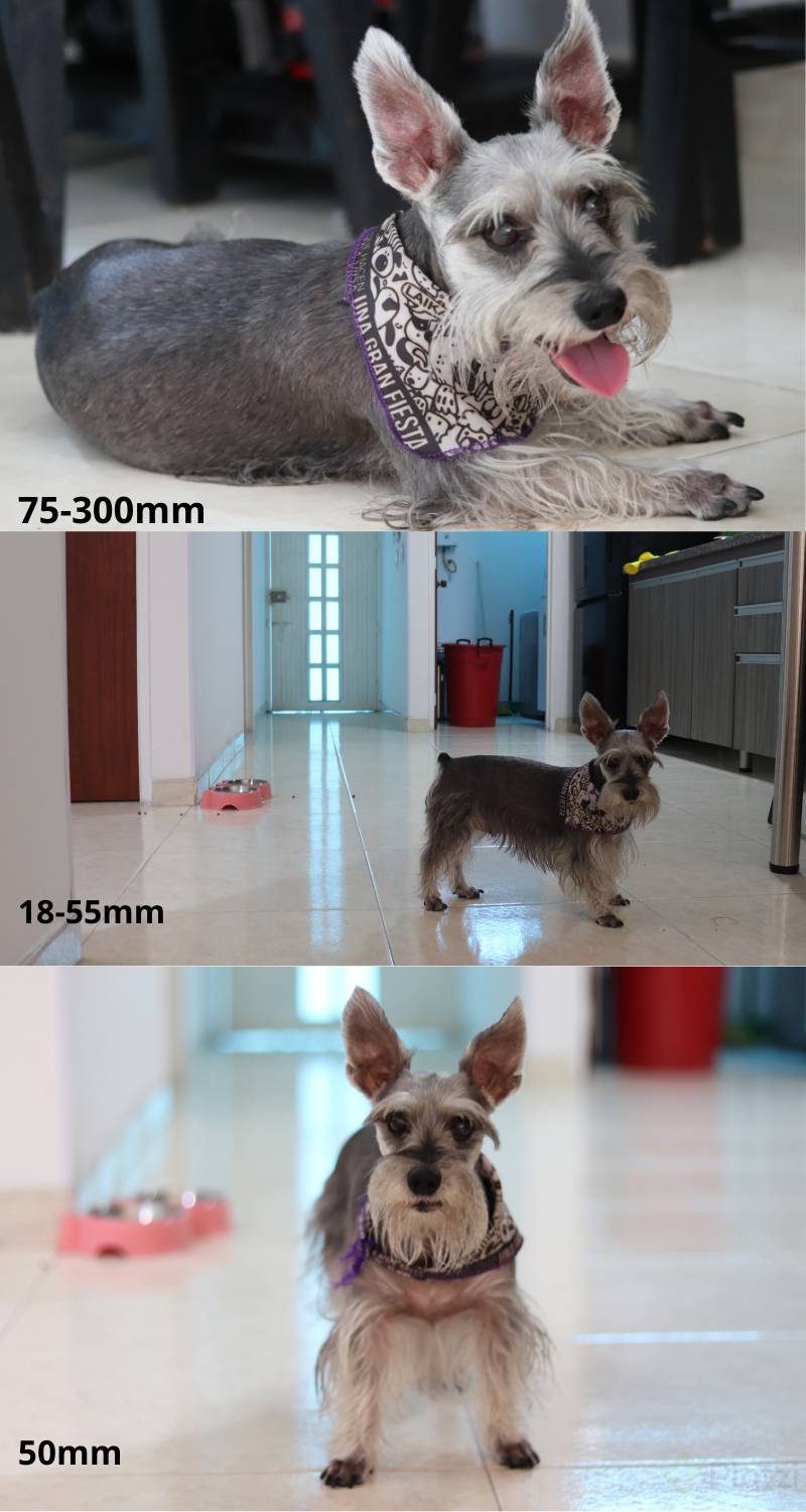 Añadir un poquito de texto.png