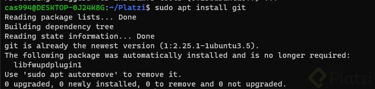 APORTE VERSION GIT1.png