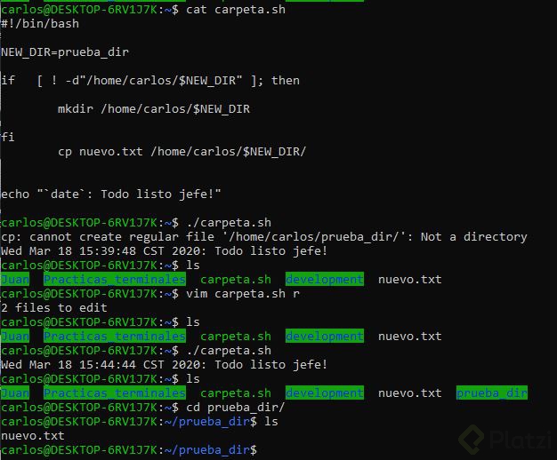 Bash.JPG