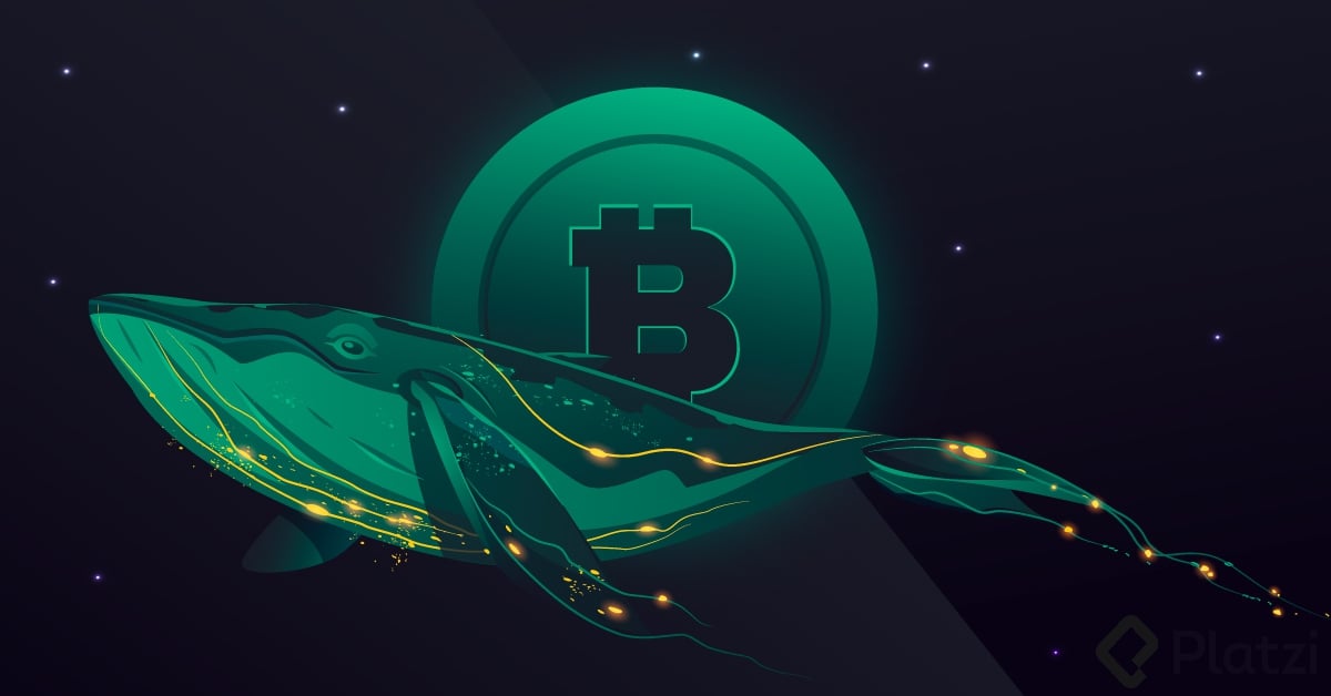 Bitcoin-whales.jpg