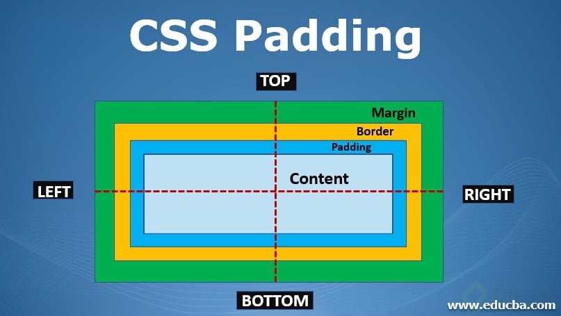 CSS-Padding.jpg