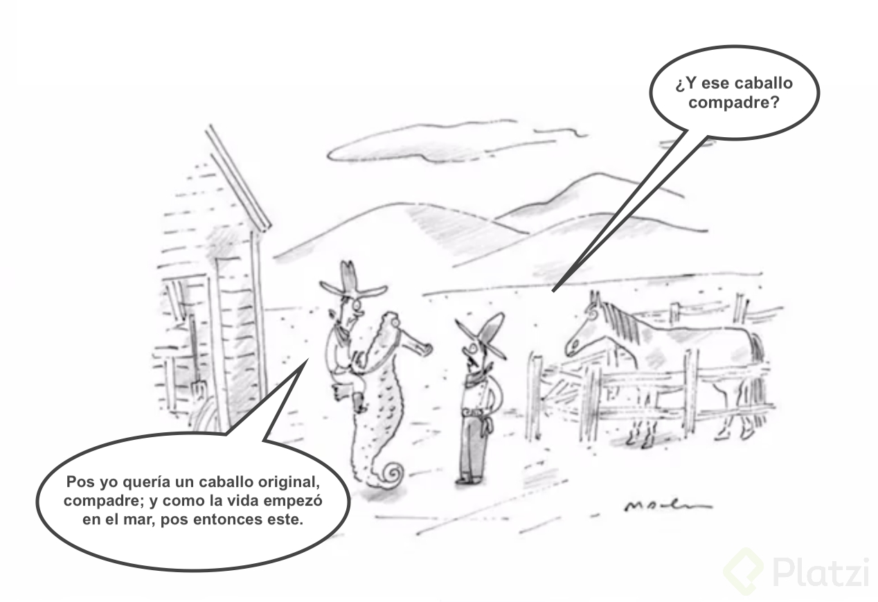 Caballito de mar.png