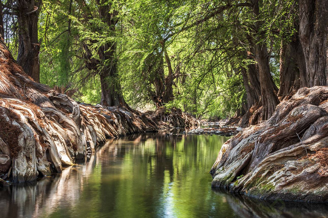 Camino a huajolotitlan_Eduardo Lopez Bravo 2.jpg
