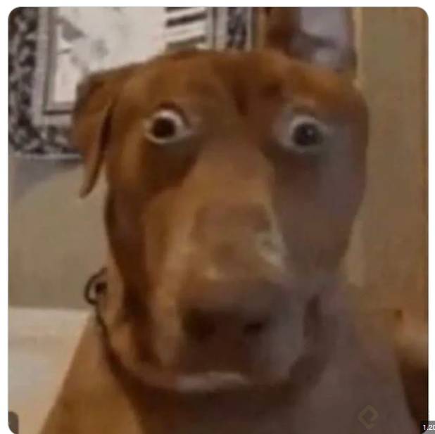 Captura 21.PNG