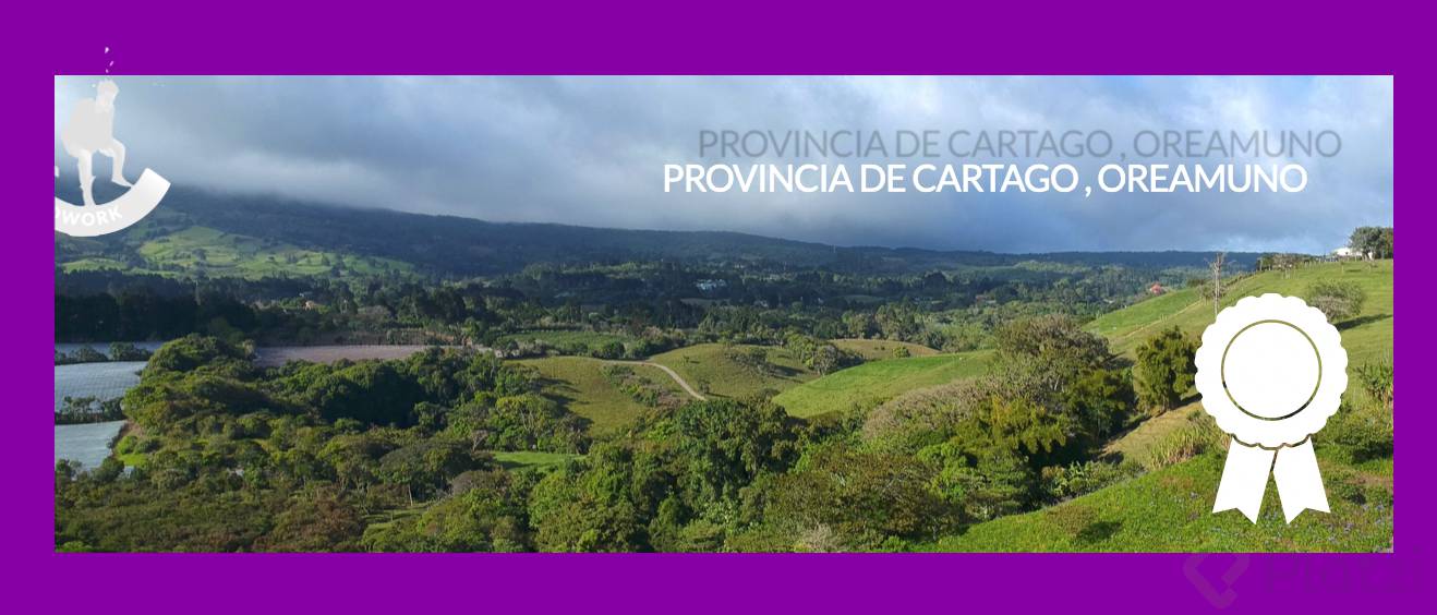 Captura de Pantalla 2020-08-08 a la(s) 2.02.26 p. m..png