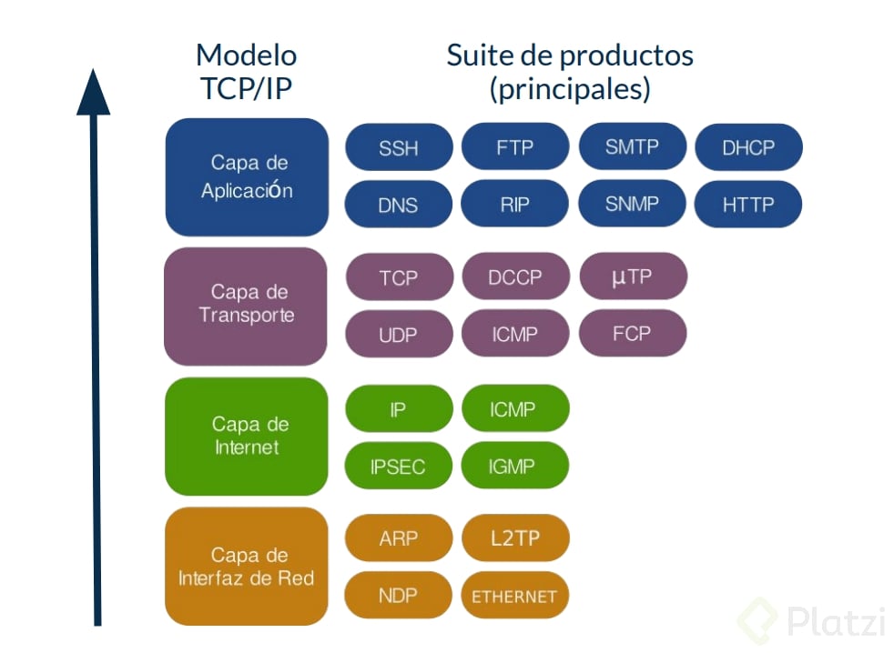 modelo TCP-IP.png