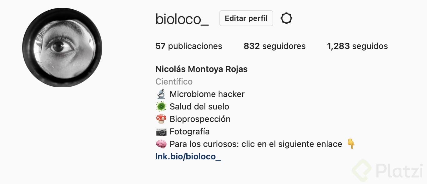 Captura de Pantalla 2022-03-25 a la(s) 4.15.00 p. m..png