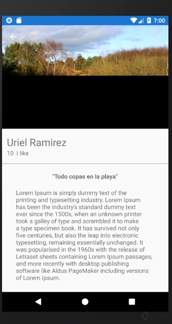 Captura de pantalla 2018-12-28 a la(s) 7.00.38 p. m..png