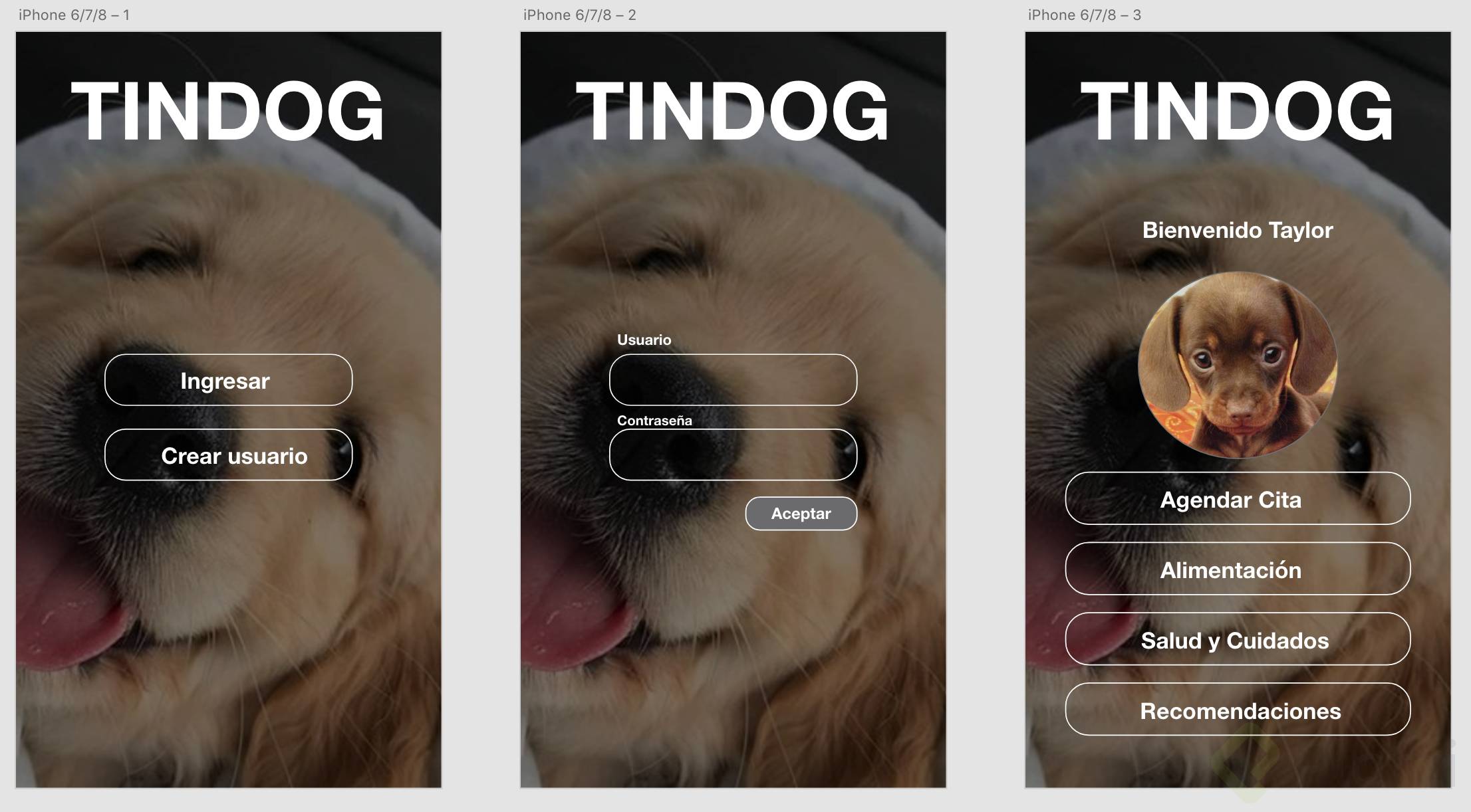 Captura de pantalla 2019-01-22 a la(s) 6.36.52 p. m..png