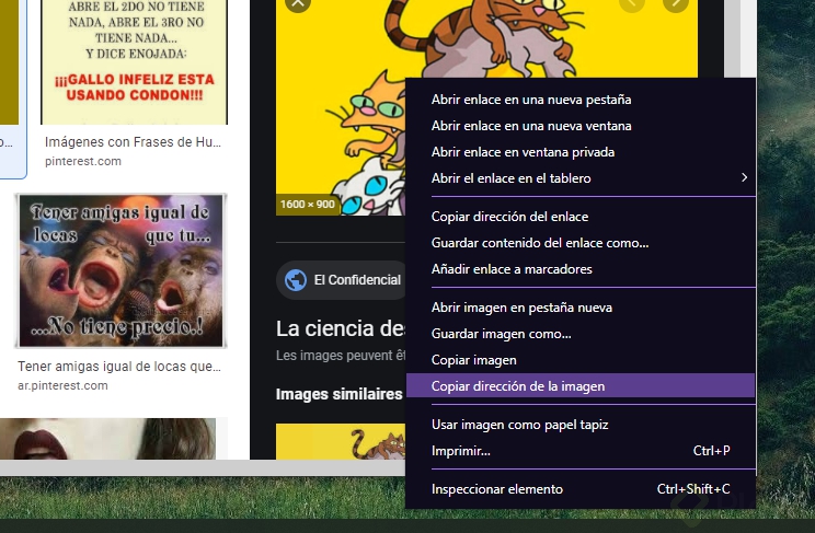 Captura de pantalla 2021-01-13 180029.png