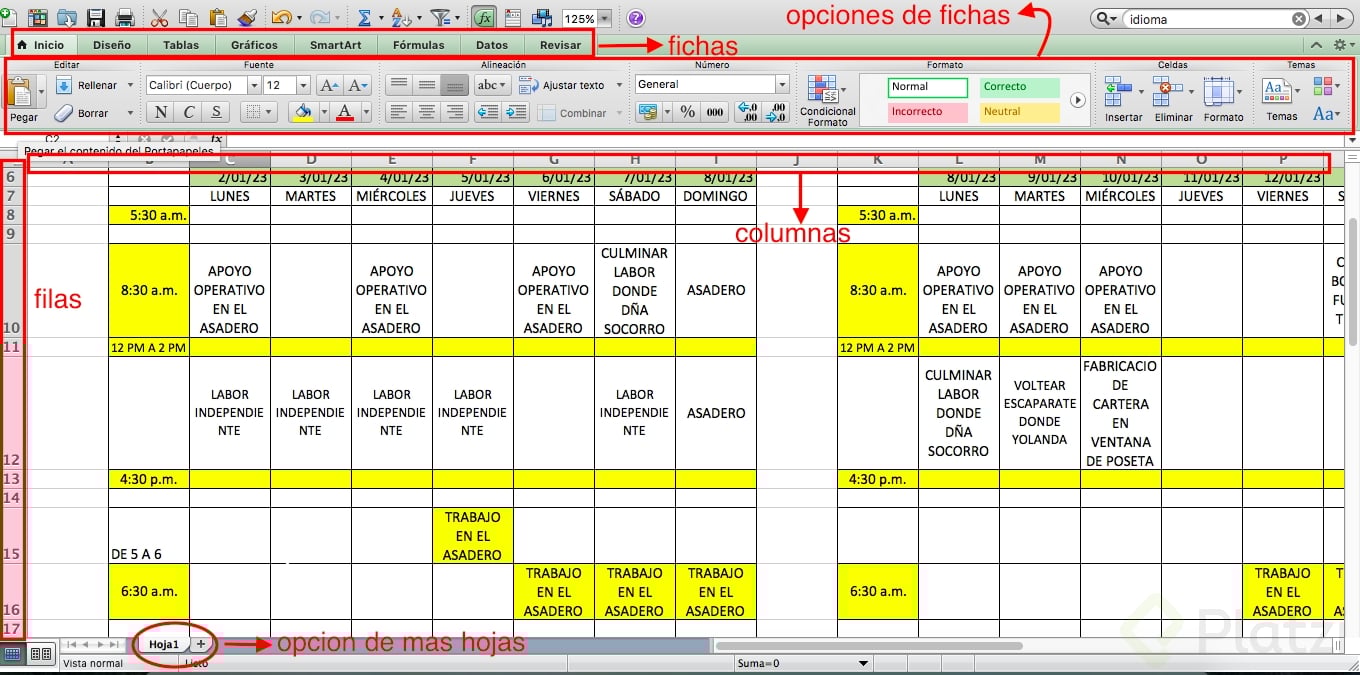 Captura de pantalla 2023-07-05 a las 12.17.40 p.m..png