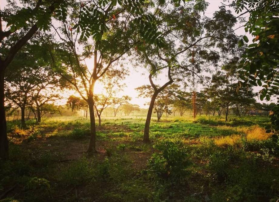 Captura de pantalla 2023-08-23 160658.png