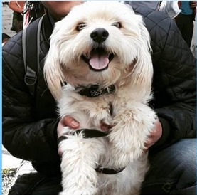 Captura de pantalla de 2022-04-06 22-05-28.png