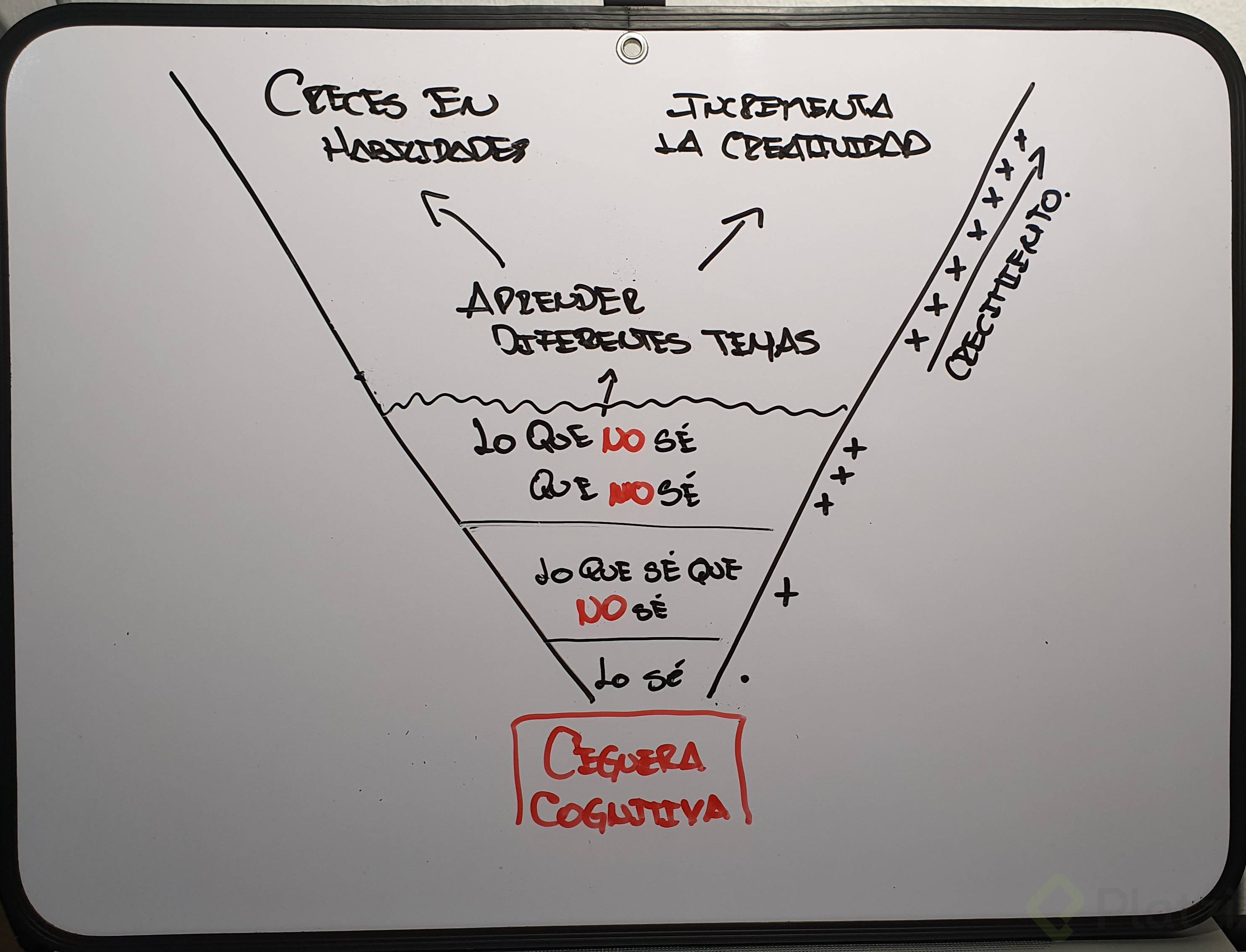 Ceguera Cognitiva.jpg