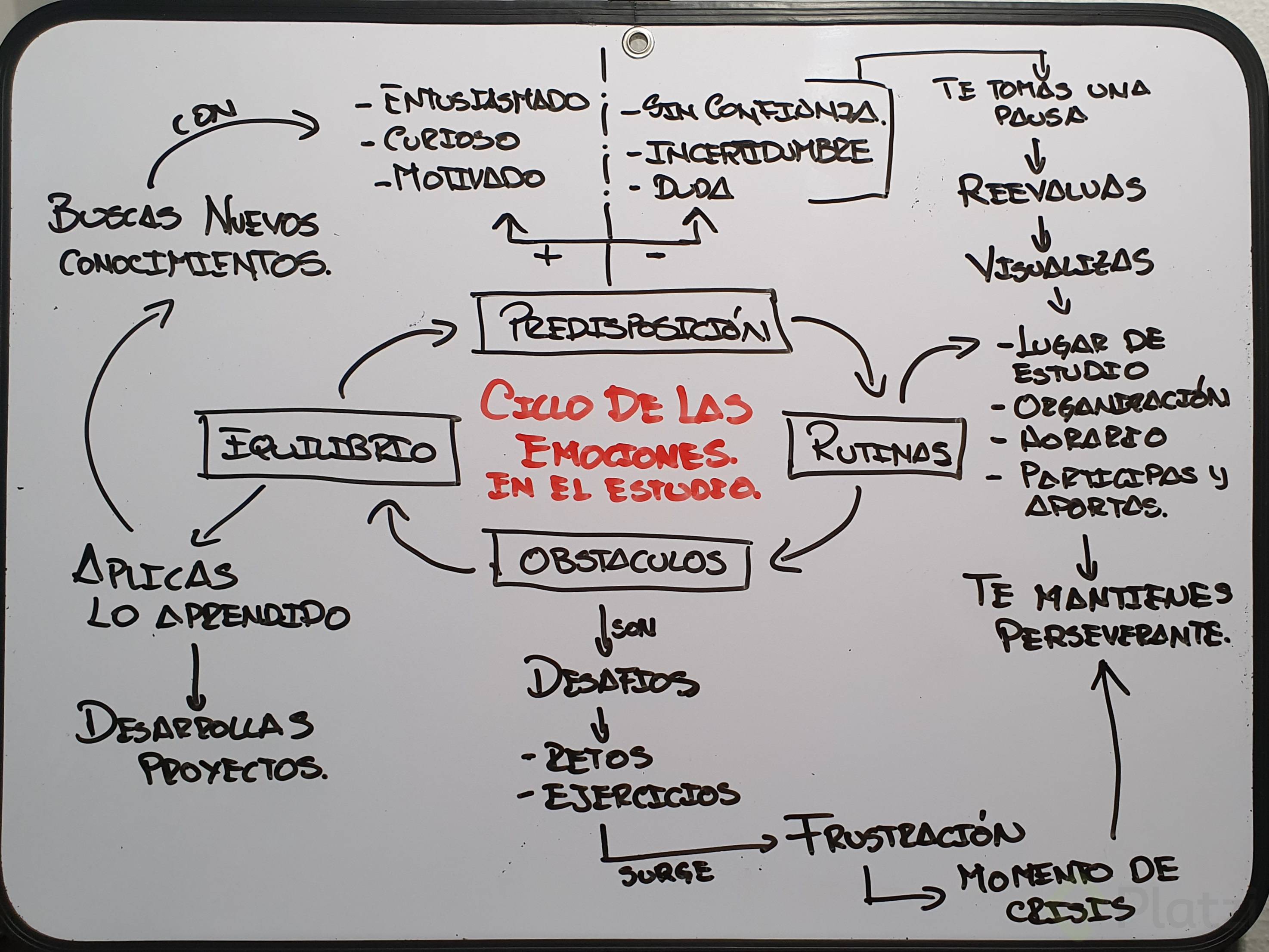 Ciclo de las Emociones.jpg