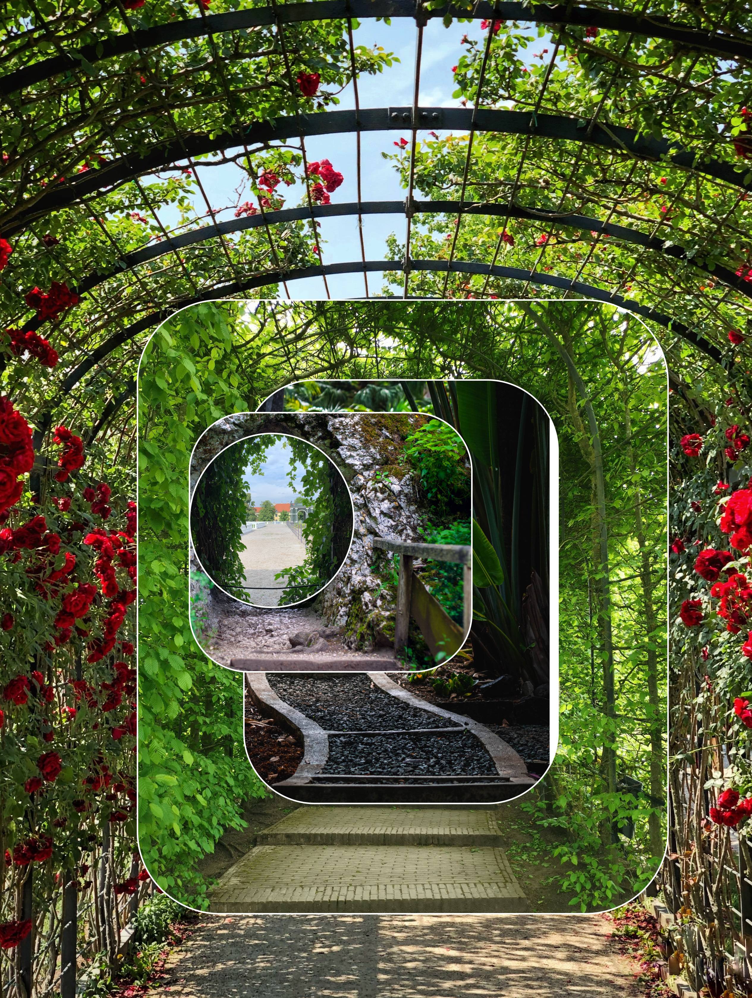 Colage - Figma 3.jpg