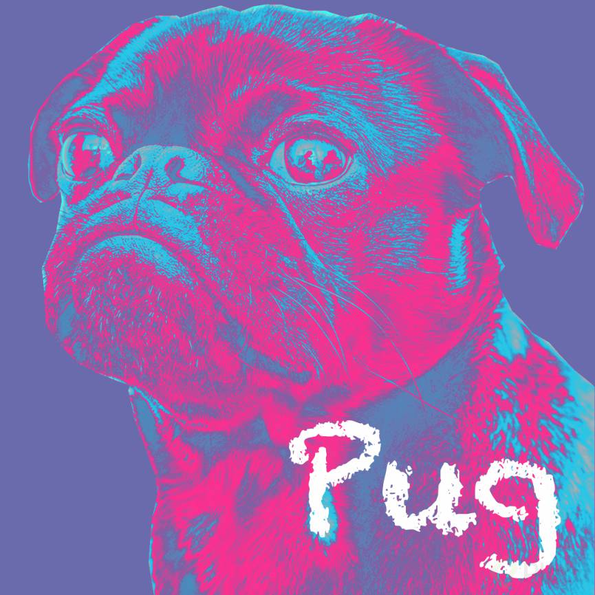 ColorPug.png