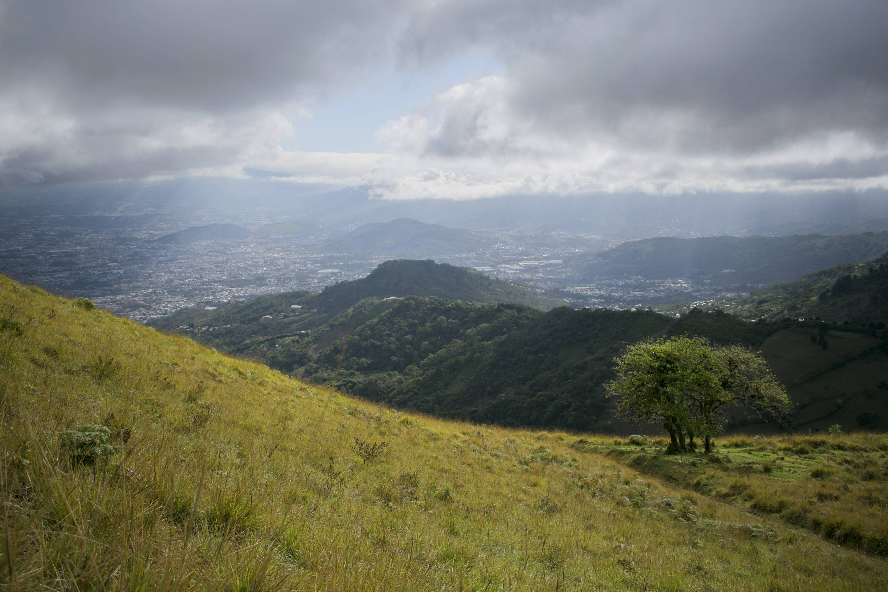 Copia de DSC_0123.jpg