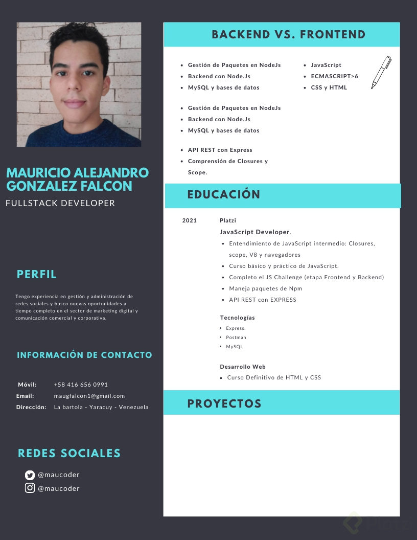 Curriculum Naranja y Gris Bordeado Infografía.png