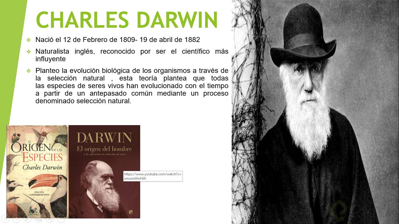 DARWIN.png