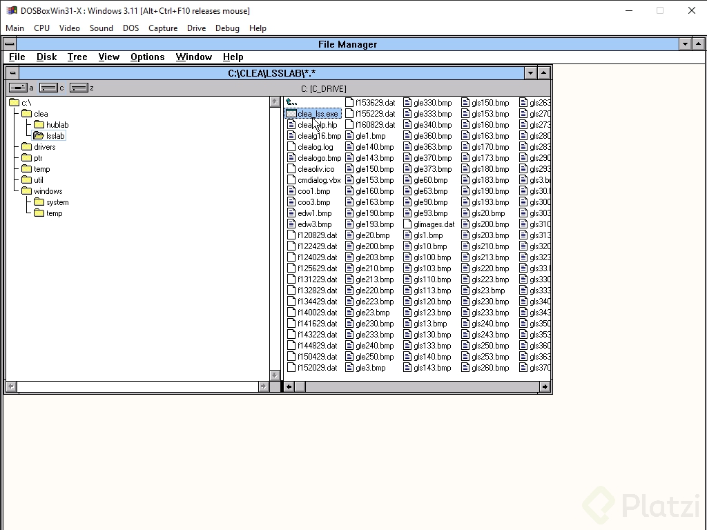 DOSBoxWin31-X _ Windows 3.11 [Alt+Ctrl+F10 releases mouse] 03_10_2022 08_59_32 p. m..png