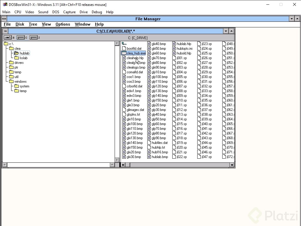 DOSBoxWin31-X _ Windows 3.11 03_10_2022 08_56_22 p. m..png